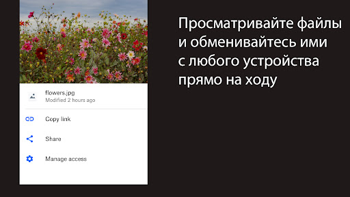 Dropbox: Облачное хранилище